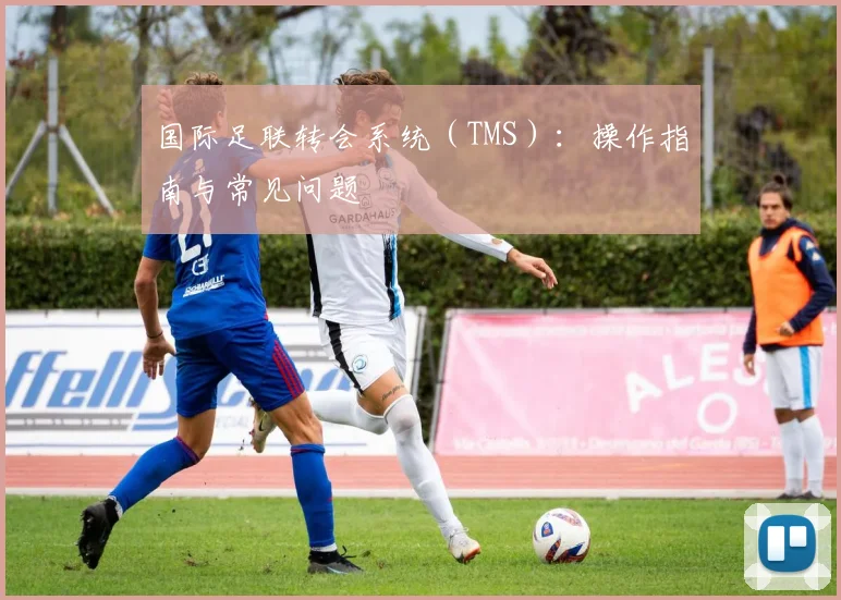 国际足联转会系统（TMS）：操作指南与常见问题