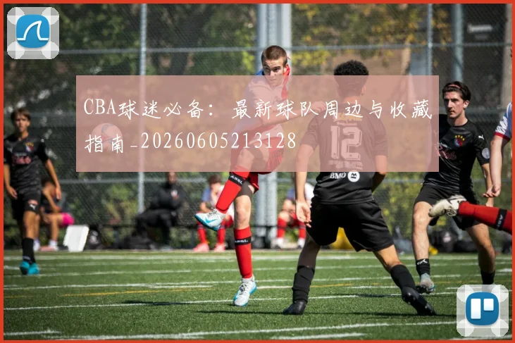CBA球迷必备：最新球队周边与收藏指南_20260605213128