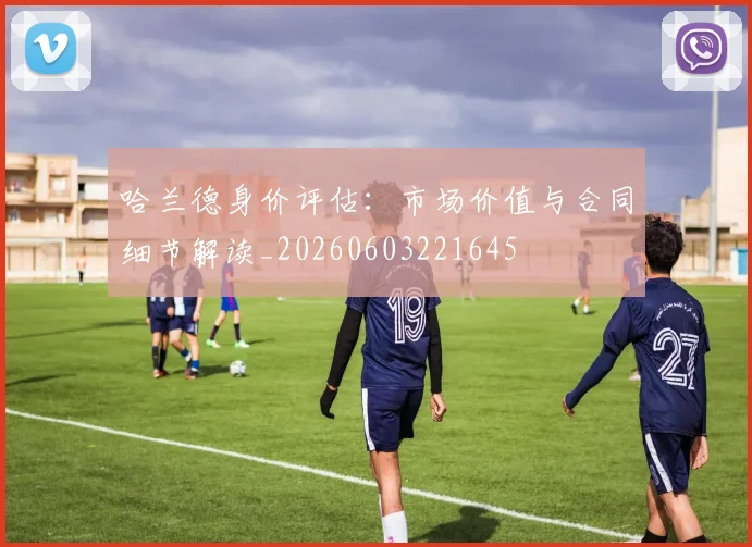 哈兰德身价评估：市场价值与合同细节解读_20260603221645