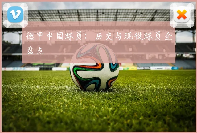 德甲中国球员：历史与现役球员全盘点