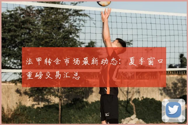 法甲转会市场最新动态：夏季窗口重磅交易汇总