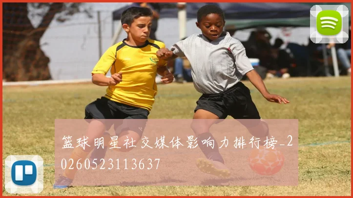 篮球明星社交媒体影响力排行榜_20260523113637